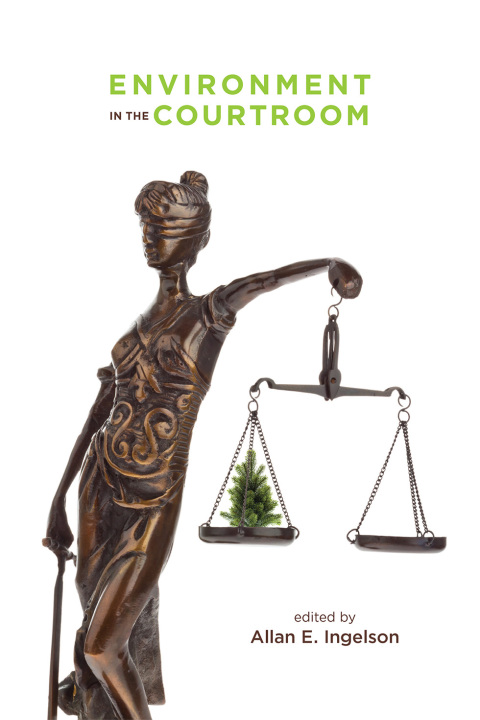 Cover image for book Environment in the Courtroom