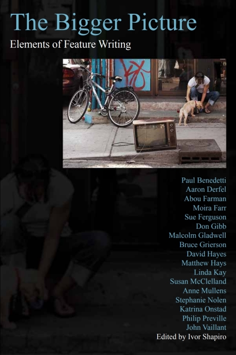 Cover image for book The Bigger Picture: Elements of Feature Writing
