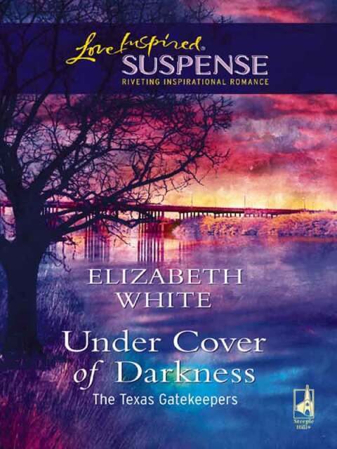 Cover image for book Under Cover of Darkness