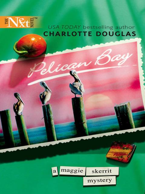 Cover image for book Pelican Bay