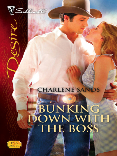 Cover image for book Bunking down with the Boss