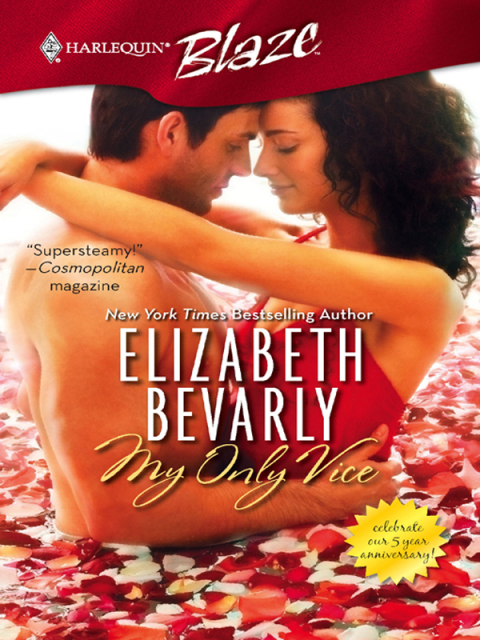 Cover image for book My Only Vice