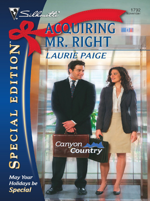 Cover image for book Acquiring Mr. Right