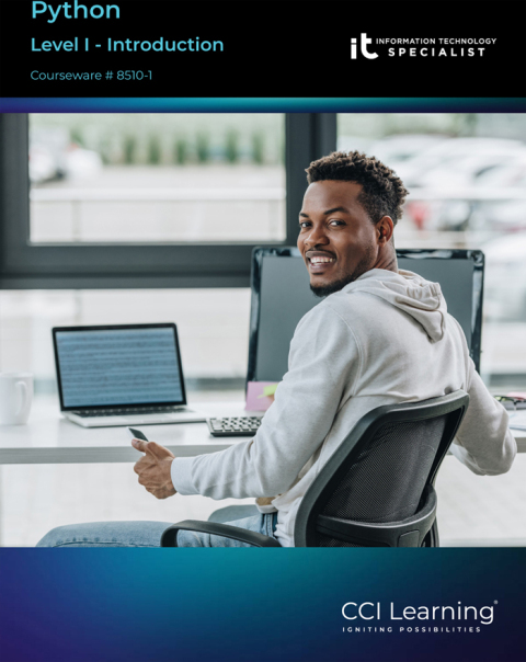Cover image for book Python Level 1 eBook