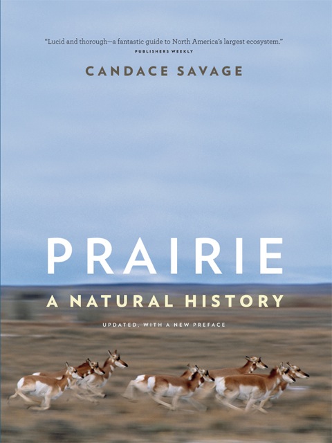 Prairie 