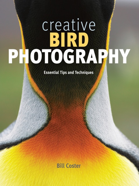 Cover image for book Creative Bird Photography
