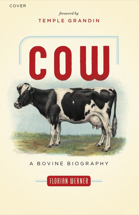 Cover image for book Cow
