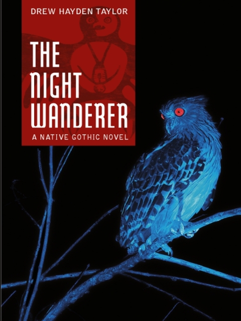 Cover image for book The Night Wanderer