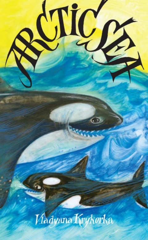 Cover image for book Arctic&nbsp;Sea