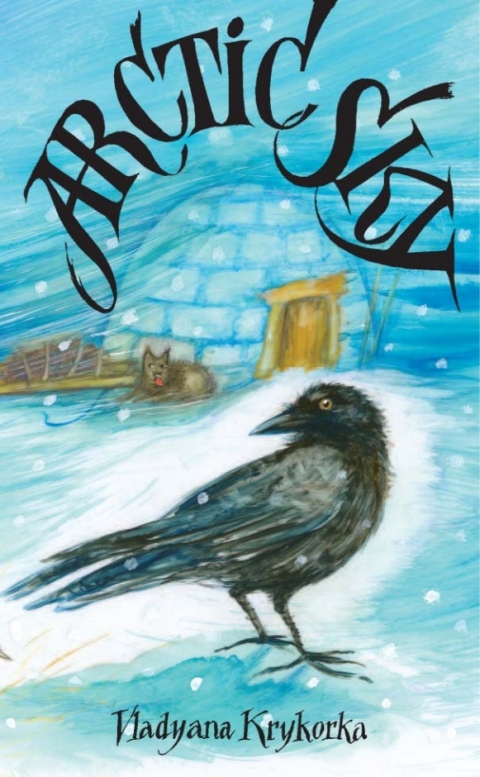 Cover image for book Arctic Sky