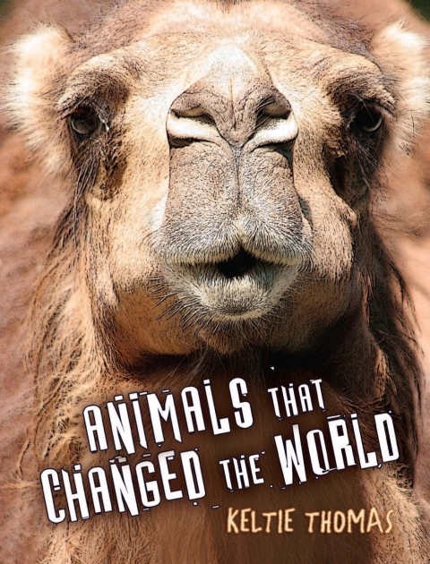 Cover image for book Animals That Changed the World