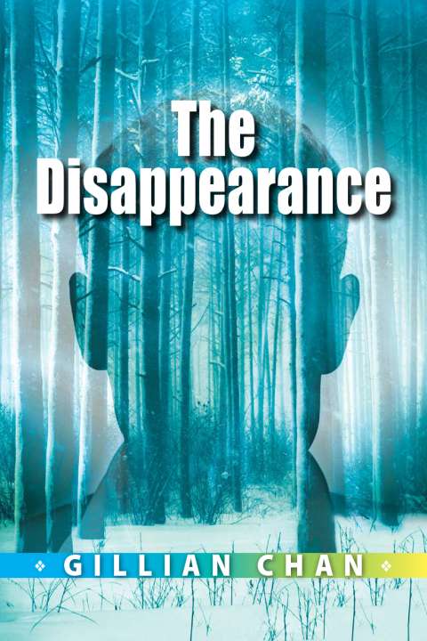 Cover image for book The Disappearance