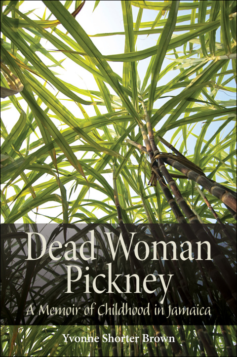 Cover image for book Dead Woman Pickney
