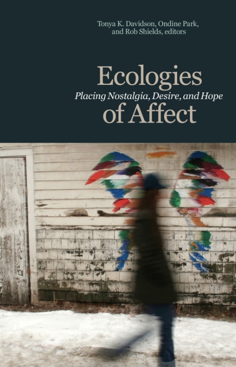 Cover image for book Ecologies of Affect