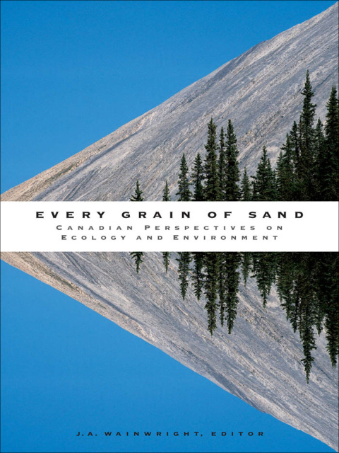 Cover image for book Every Grain of Sand