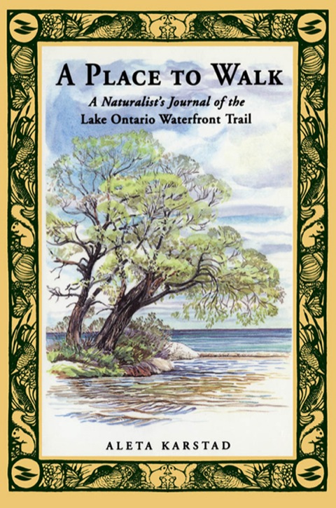 Cover image for book A Place to Walk