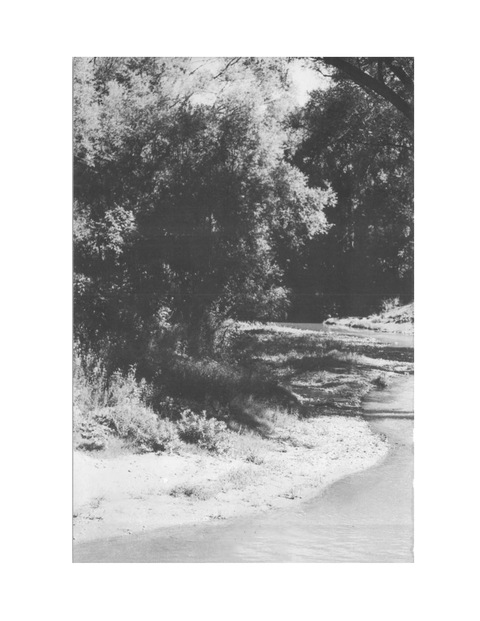 Cover image for book Remembering the Don