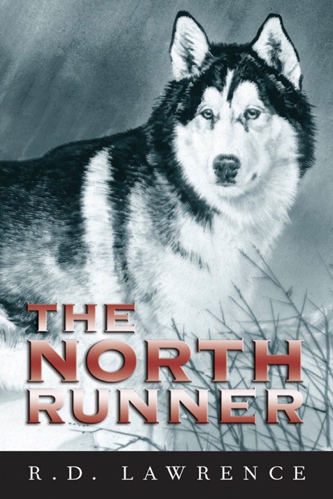 Cover image for book The North Runner