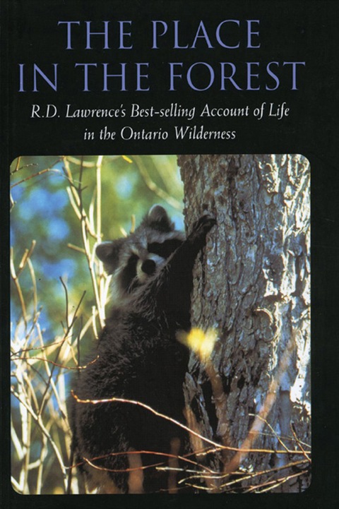 Cover image for book The Place in the Forest