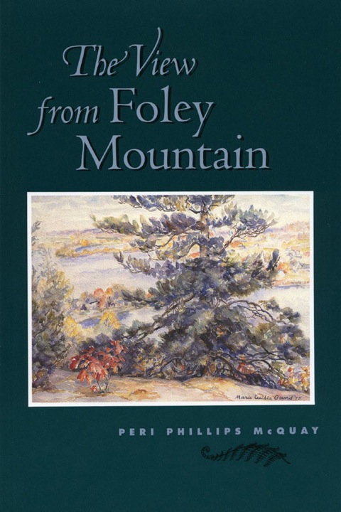Cover image for book The View From Foley Mountain