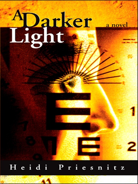Cover image for book A Darker Light