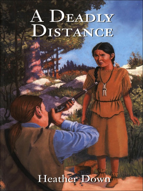 Cover image for book A Deadly Distance
