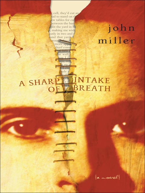 Cover image for book A Sharp Intake of Breath