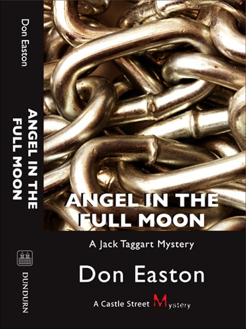 Cover image for book Angel in the Full Moon