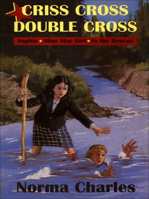 Cover image for book Criss Cross, Double Cross