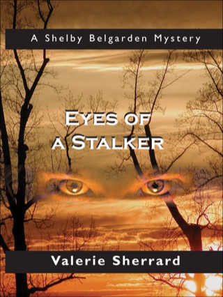 Eyes of a Stalker