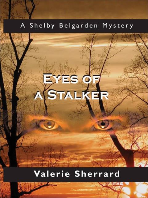 Cover image for book Eyes of a Stalker