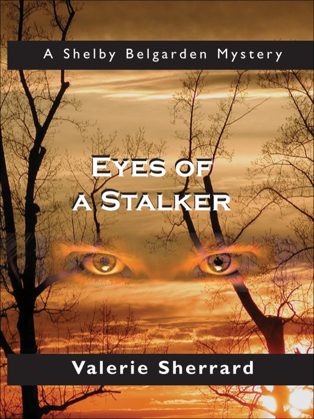 Eyes of a Stalker