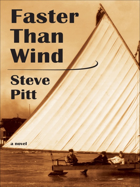 Cover image for book Faster Than Wind