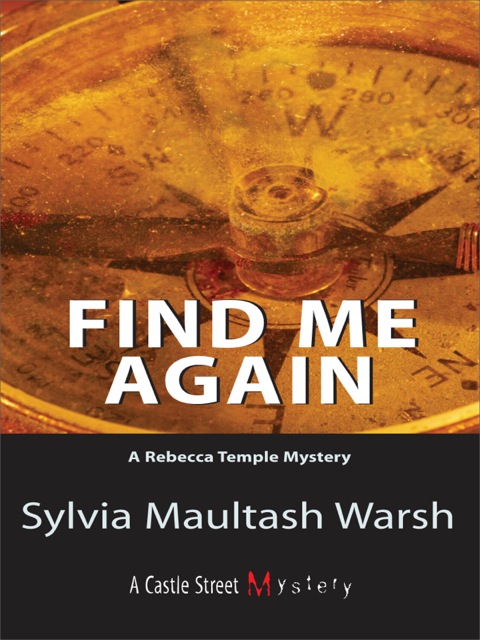 Cover image for book Find Me Again