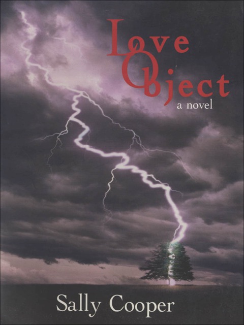 Cover image for book Love Object