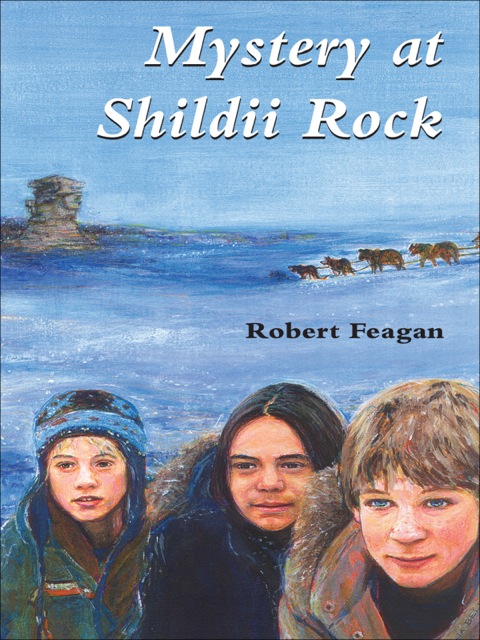 Cover image for book Mystery at Shildii Rock