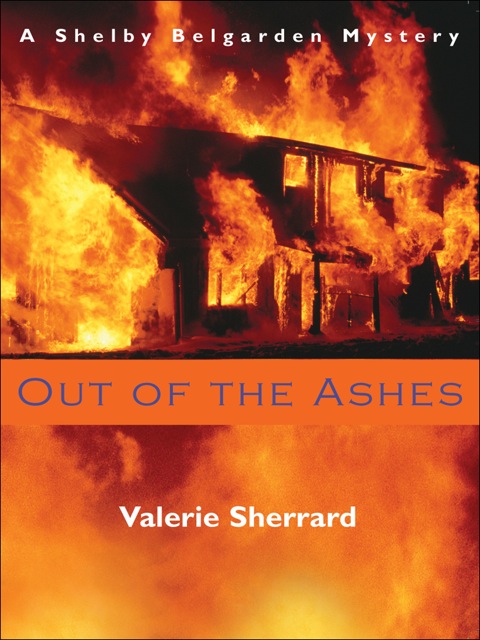 Cover image for book Out of the Ashes