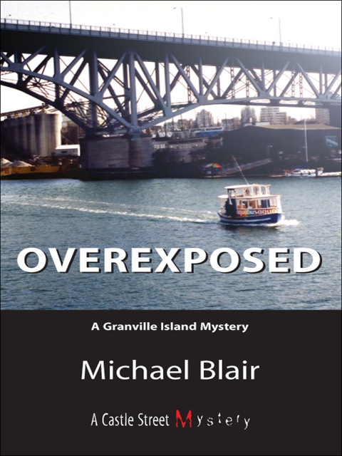 Cover image for book Overexposed