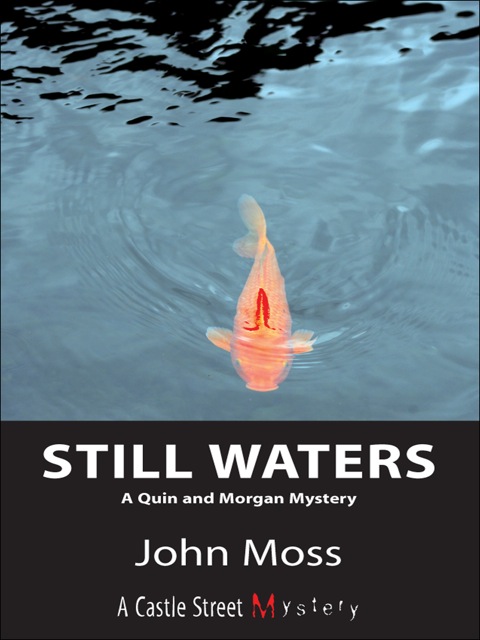 Cover image for book Still Waters