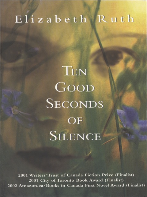 Cover image for book Ten Good Seconds of Silence