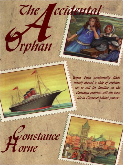 Cover image for book The Accidental Orphan