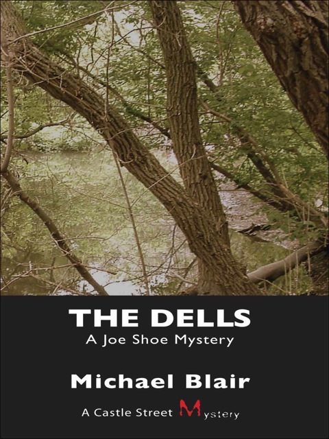 Cover image for book The Dells