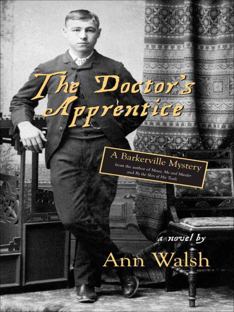 The Doctor's Apprentice 