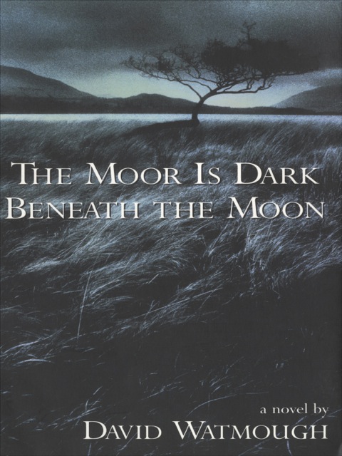 Cover image for book The Moor is Dark Beneath the Moon