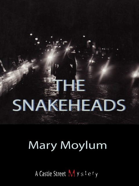 Cover image for book The Snakeheads