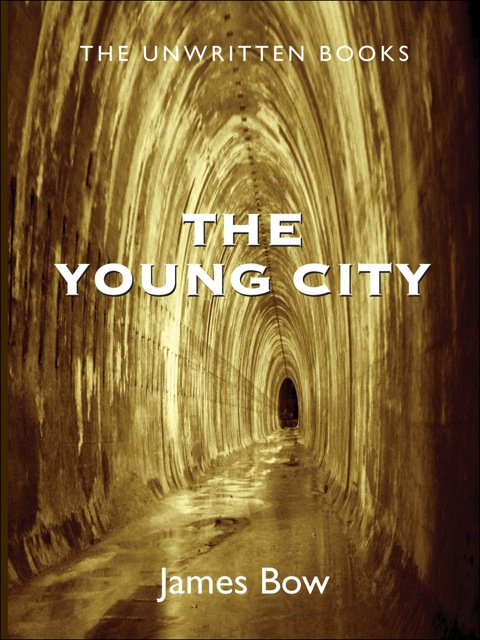 Cover image for book The Young City