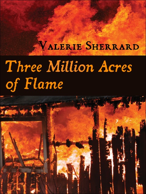 Cover image for book Three Million Acres of Flame