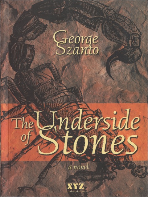 Cover image for book The Underside of Stones