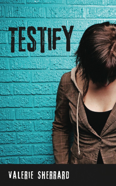 Cover image for book Testify