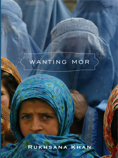 Cover image for book Wanting Mor